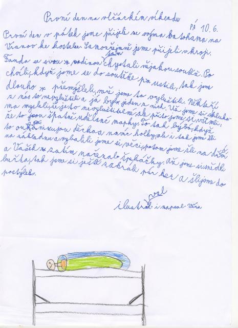 vena 1